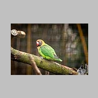 2025_03_01_OPEL_Zoo_IMG_5859.jpg